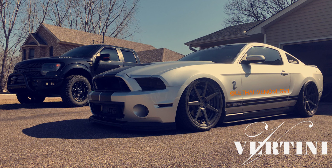 Ford Mustang Viper | DYNASTY