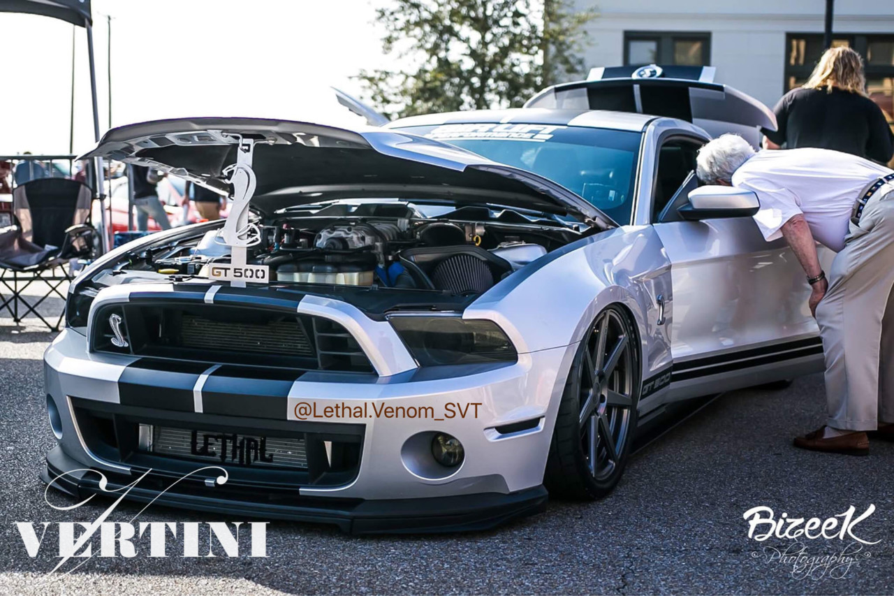 Ford Mustang Viper | DYNASTY